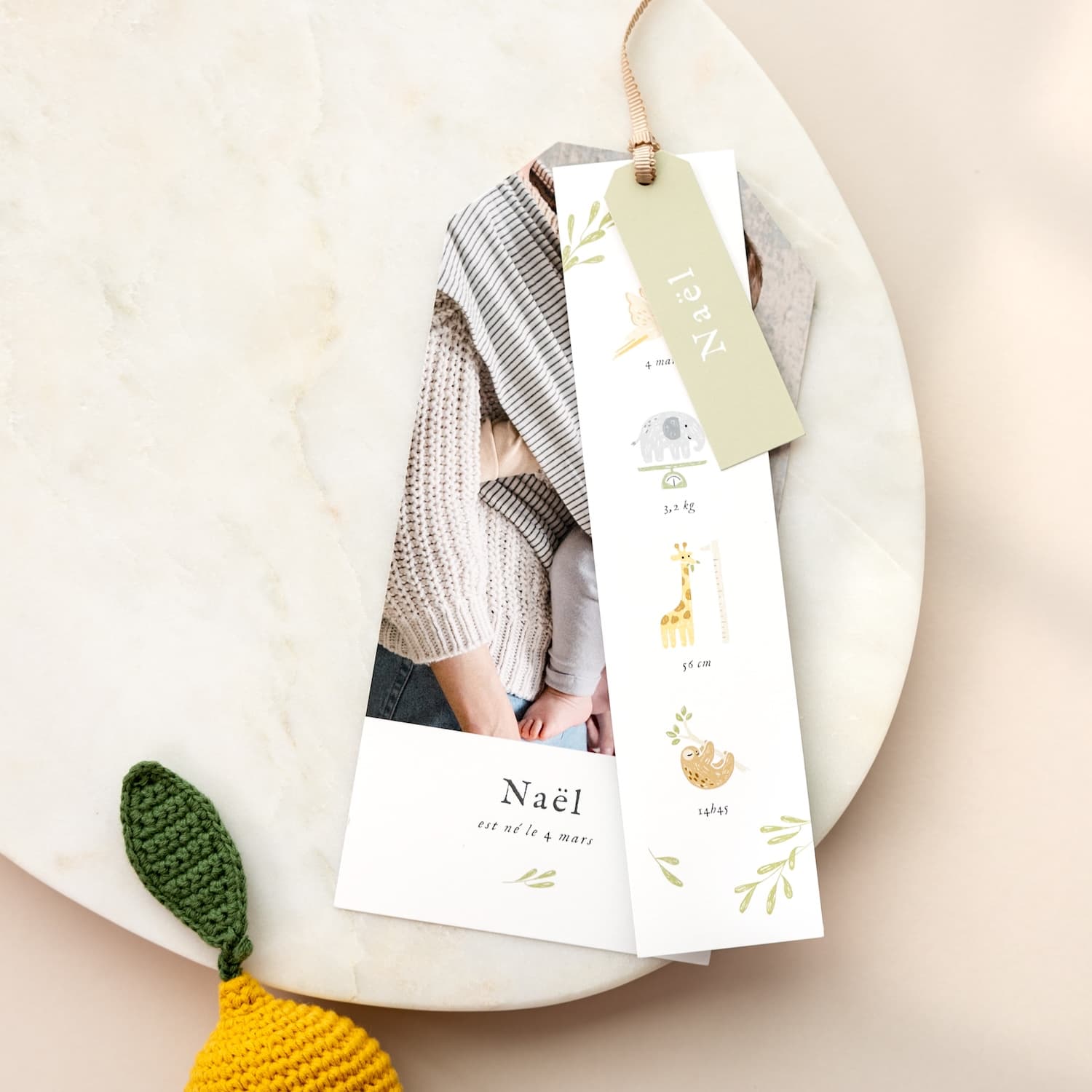 Faire-part naissance "Pictos de la savane"