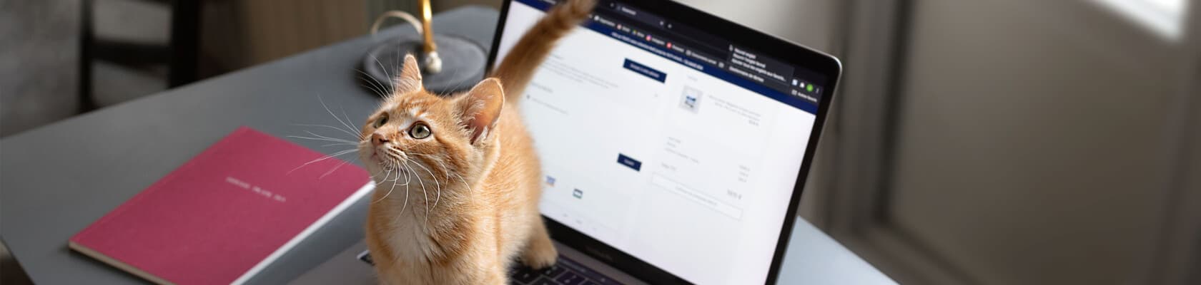 Album photo animaux de compagnie