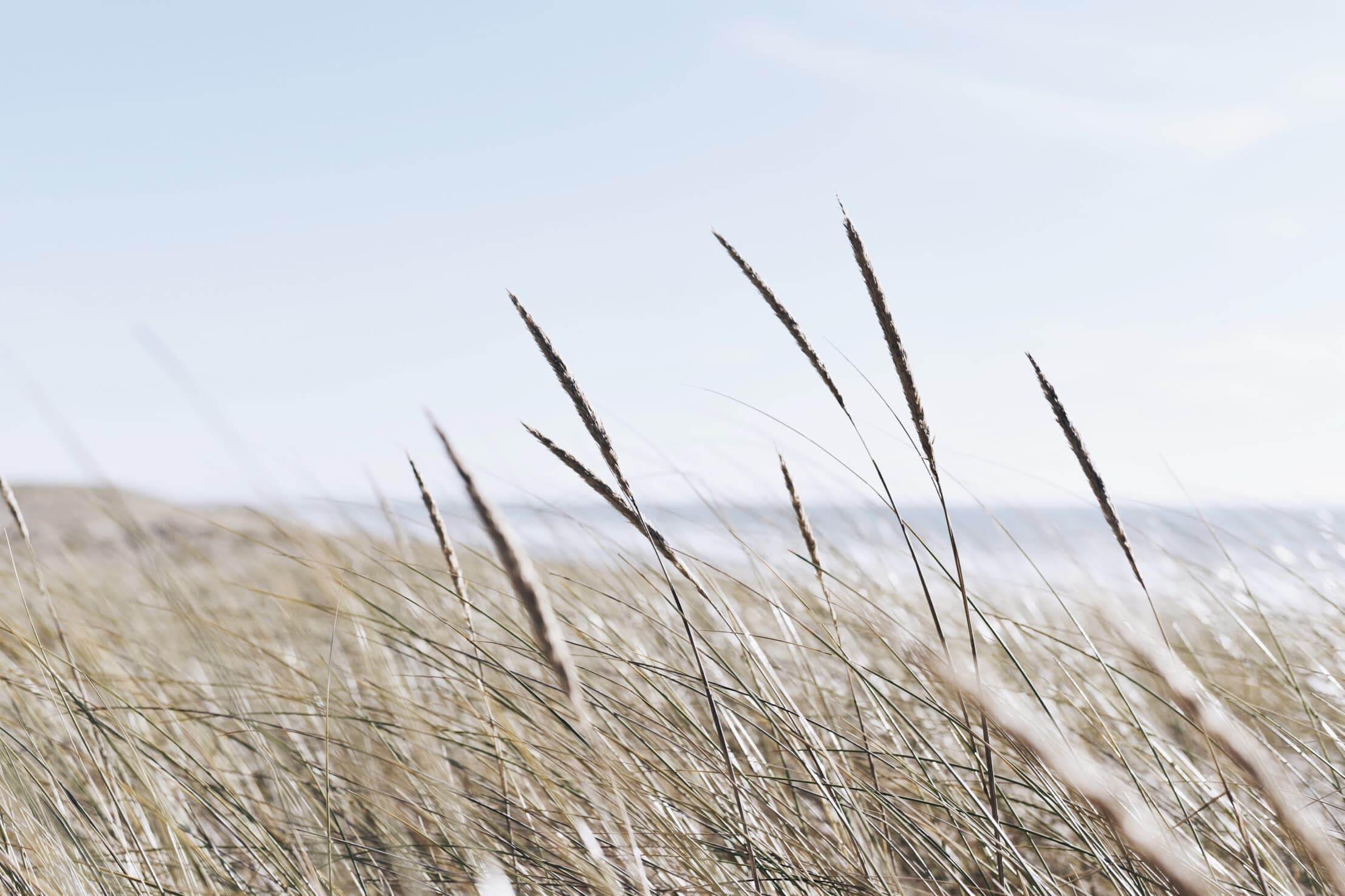 Prendre de belles photos cet 'été