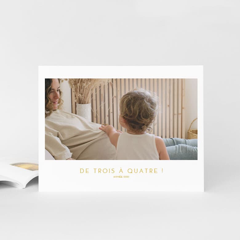 Album photo grossesse souple