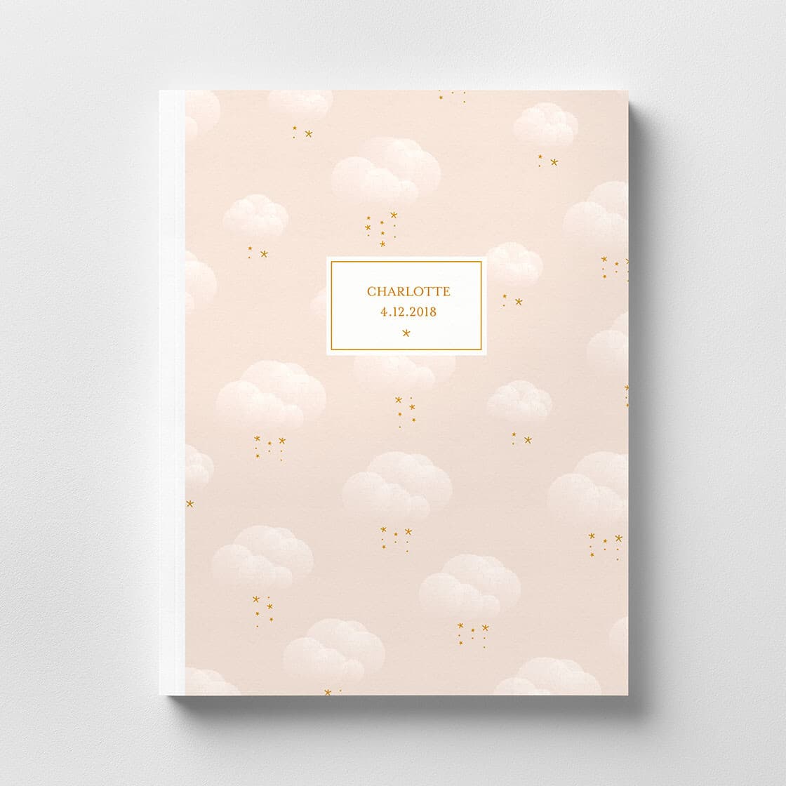 Album photo grossesse