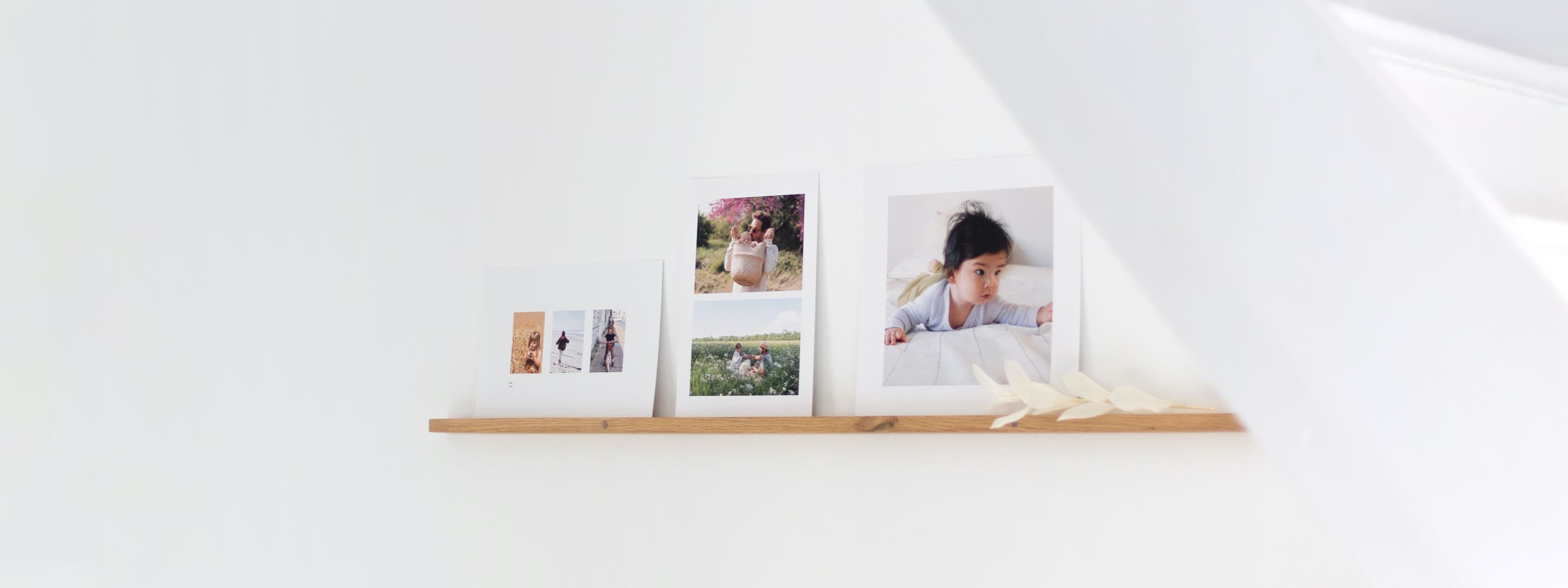 Agrandissement photo Rosemood