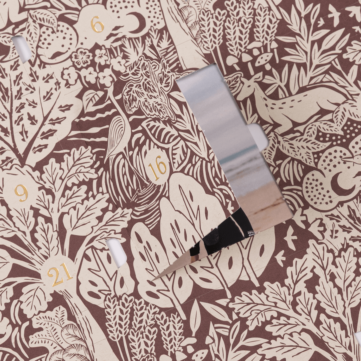 Calendrier de l'Avent Bosquet