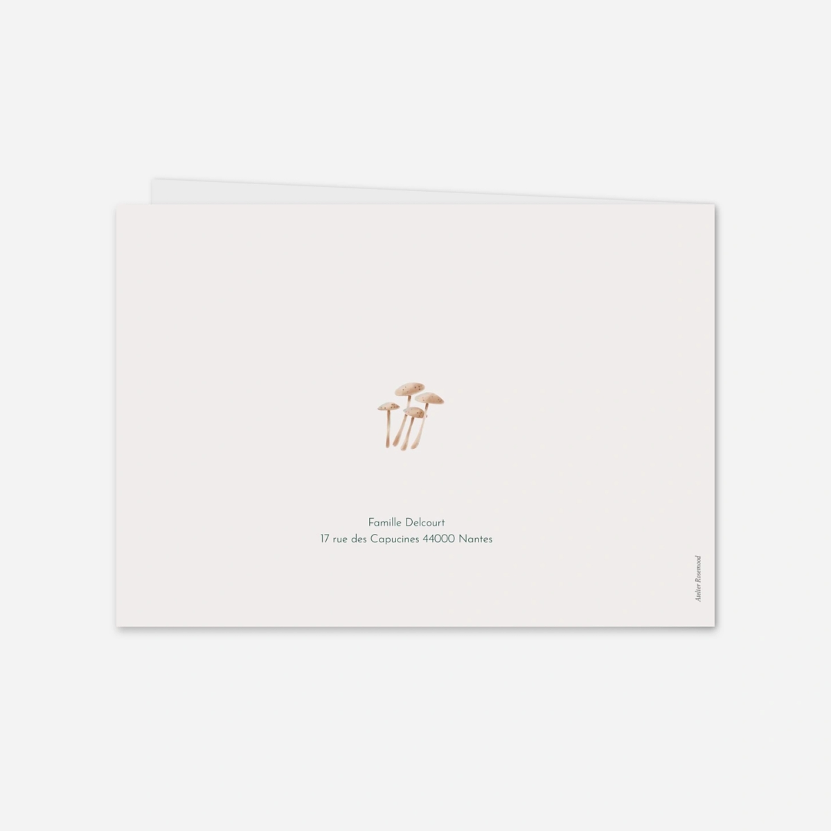 Faire-part naissance Mon petit bois