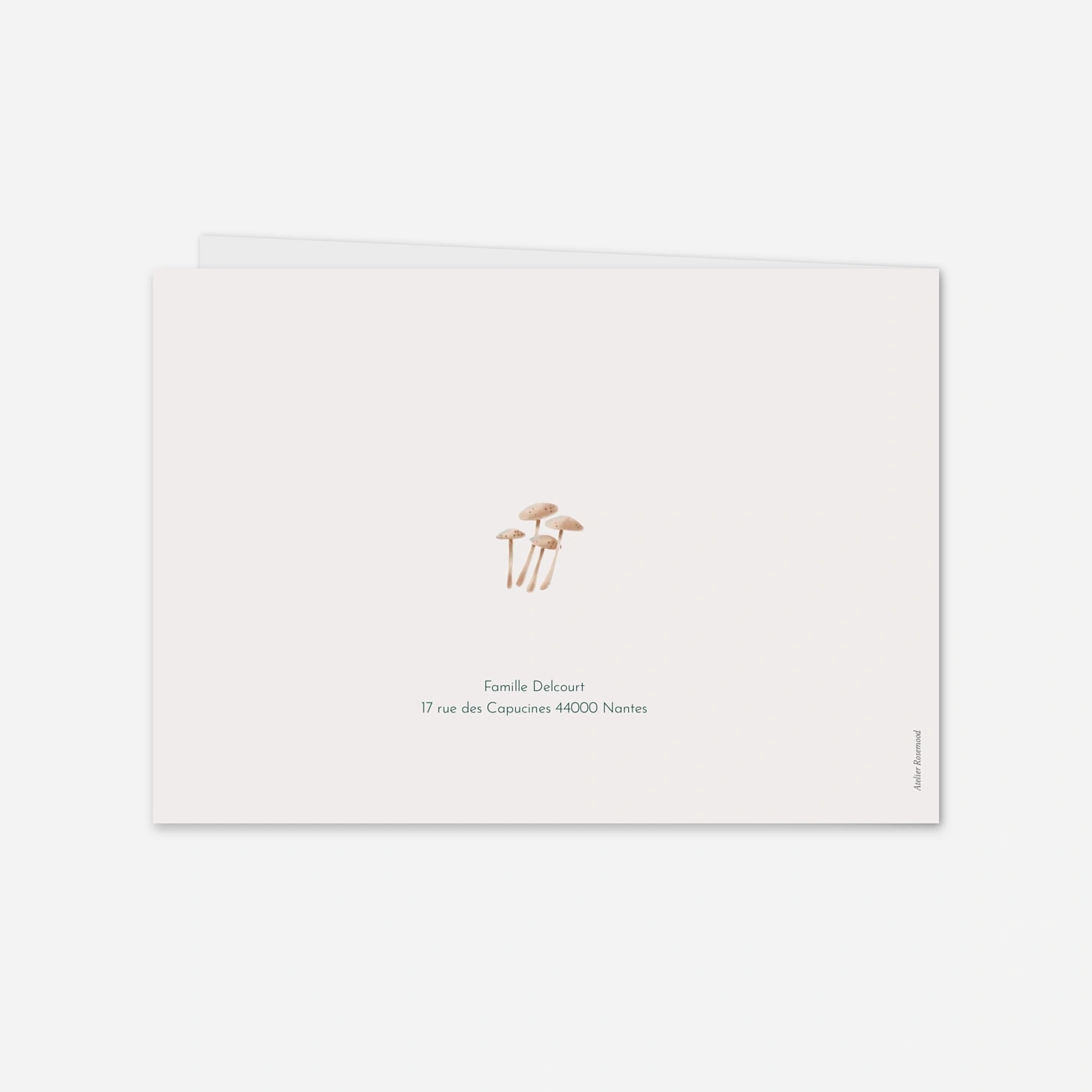 Faire-part naissance Mon petit bois