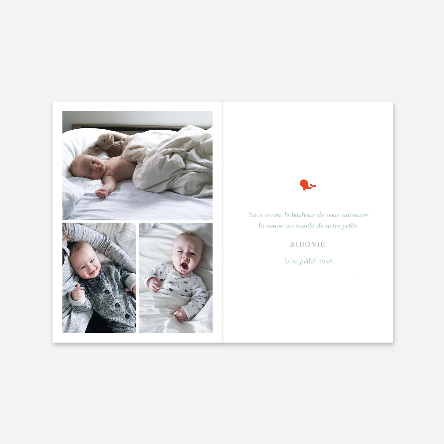 Faire-part naissance Baleines en voyage