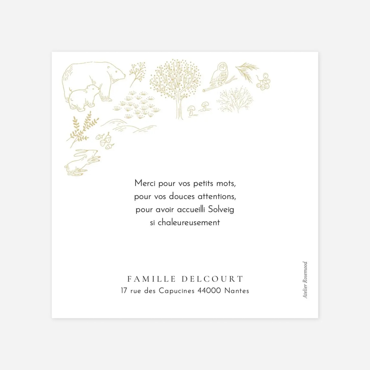 Carte remerciement naissance Boréal