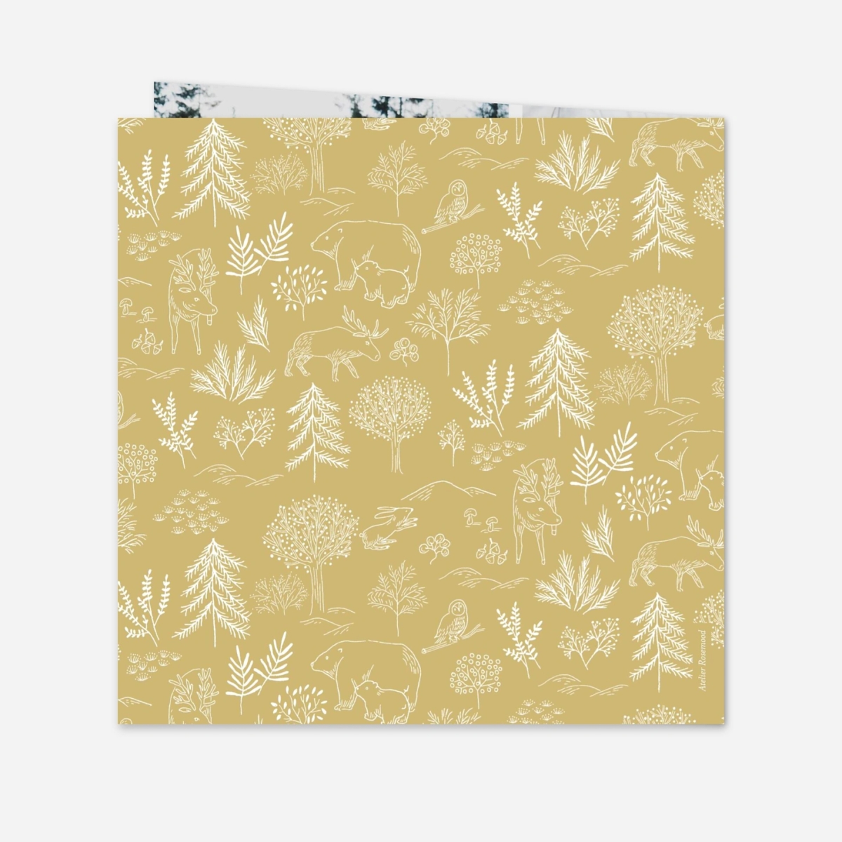 Faire-part naissance Boréal