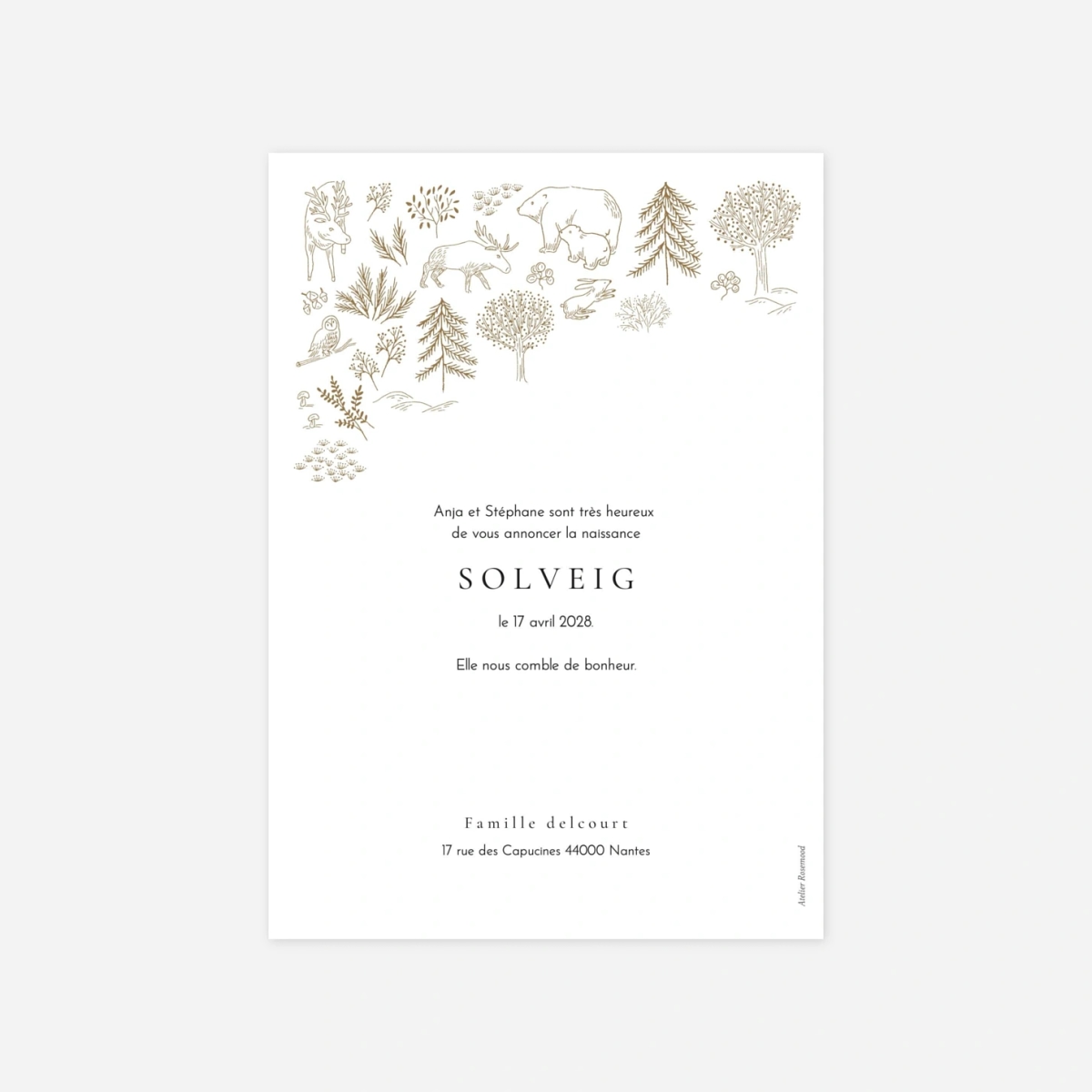 Faire-part naissance Boréal multiphoto