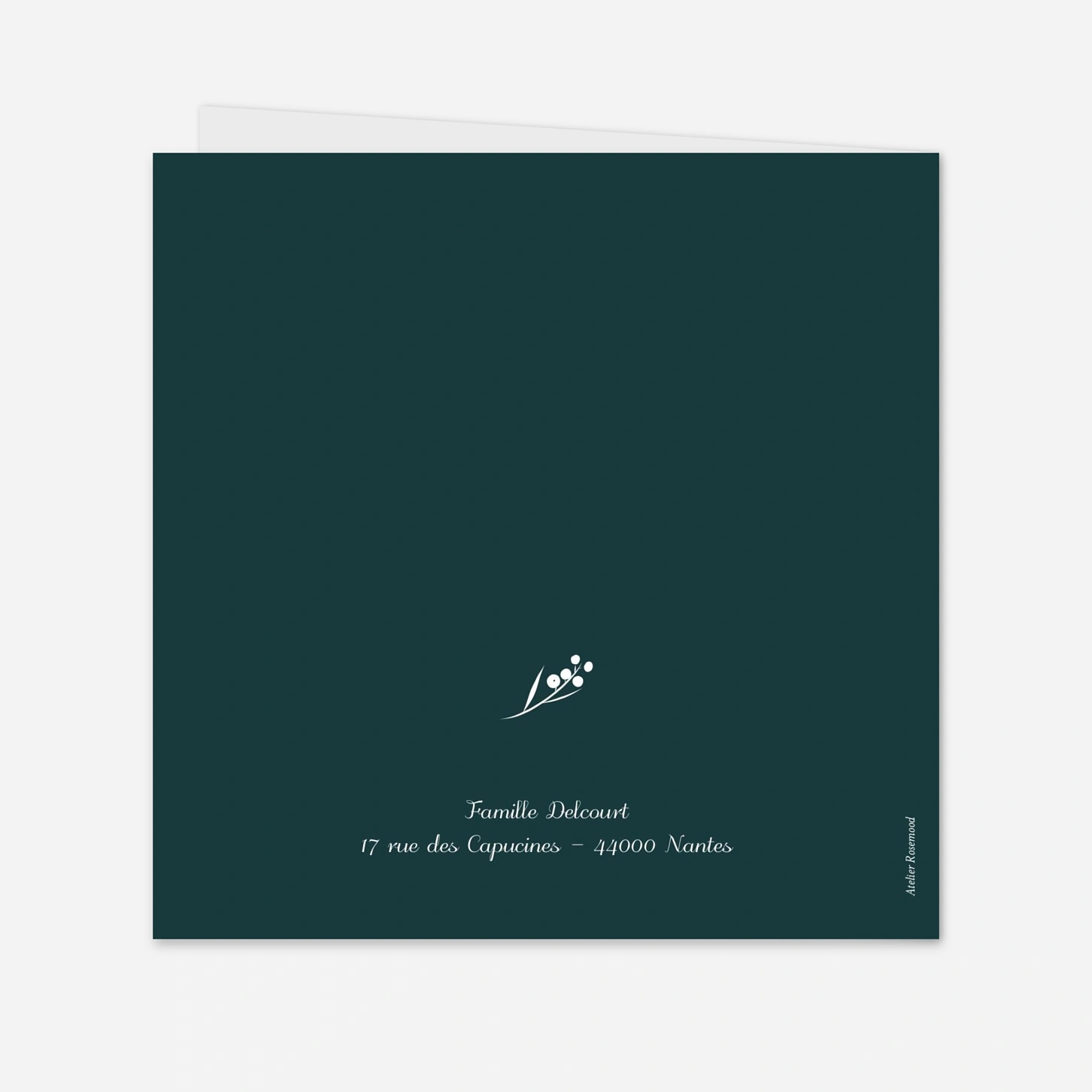 Faire-part naissance Brins d'hiver