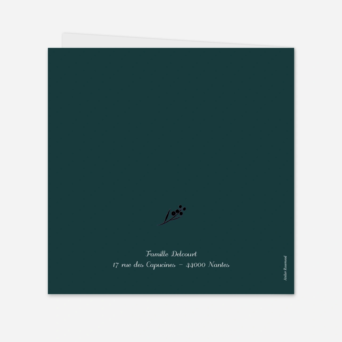 Faire-part naissance Brins d'hiver