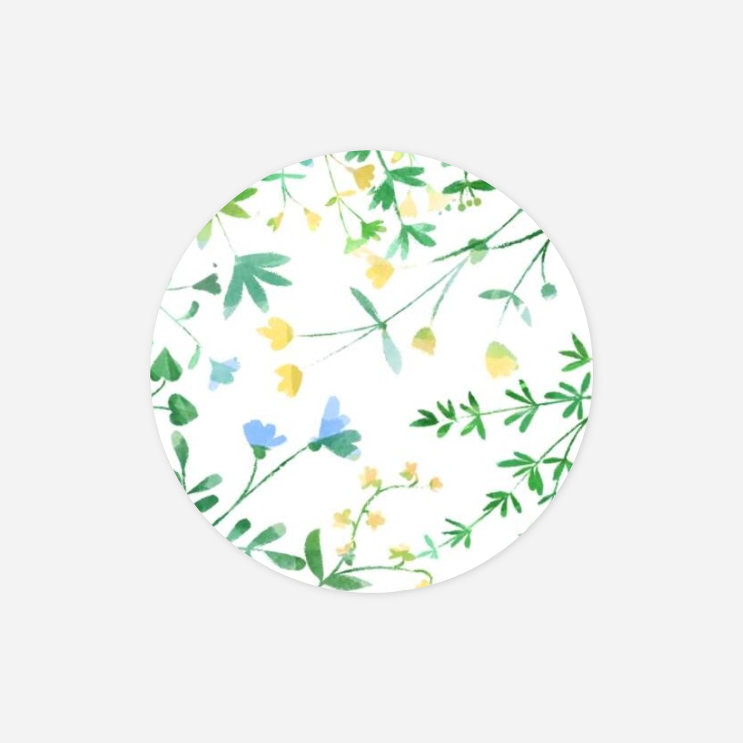 Stickers naissance Cadre fleuri