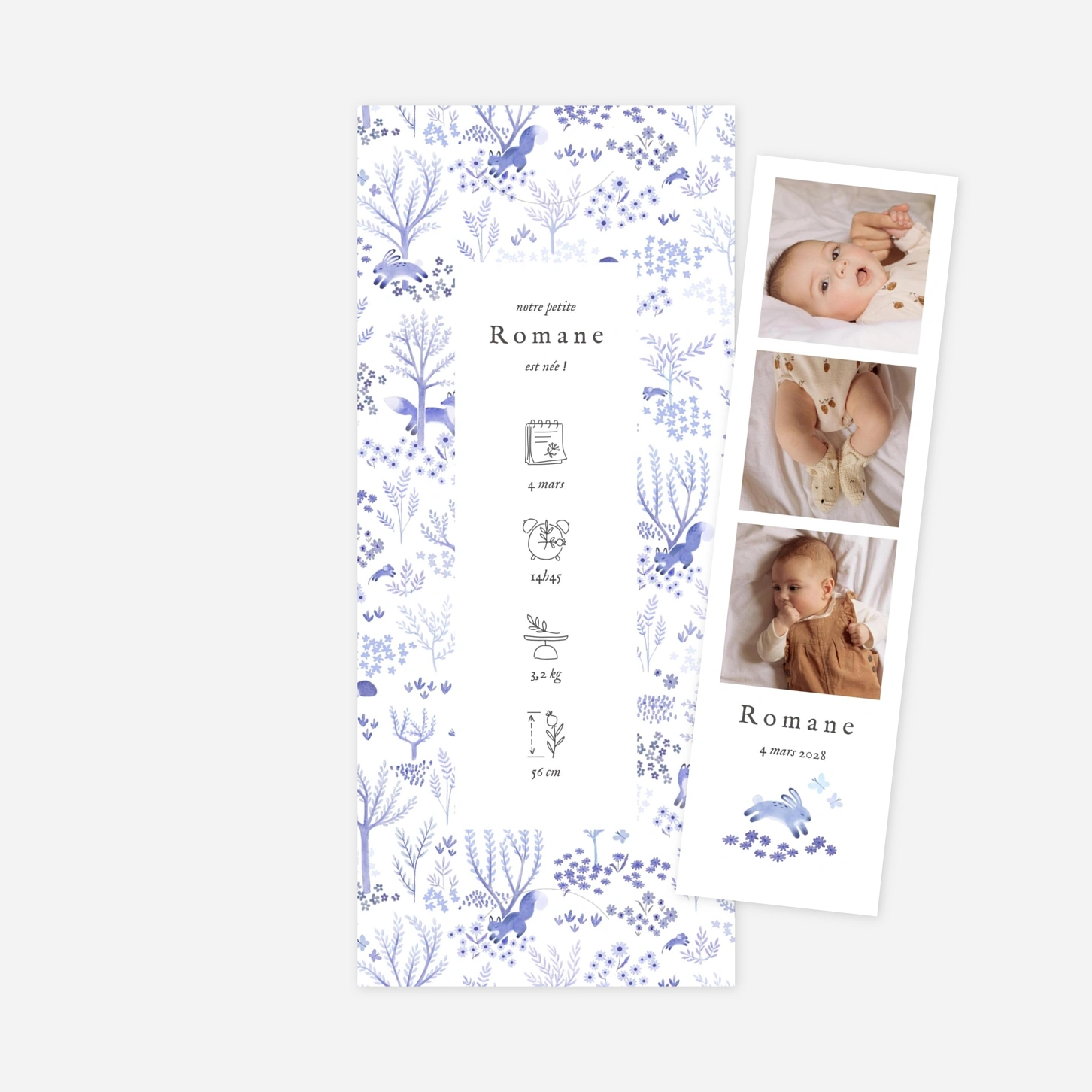 Faire-part naissance Comptine des animaux