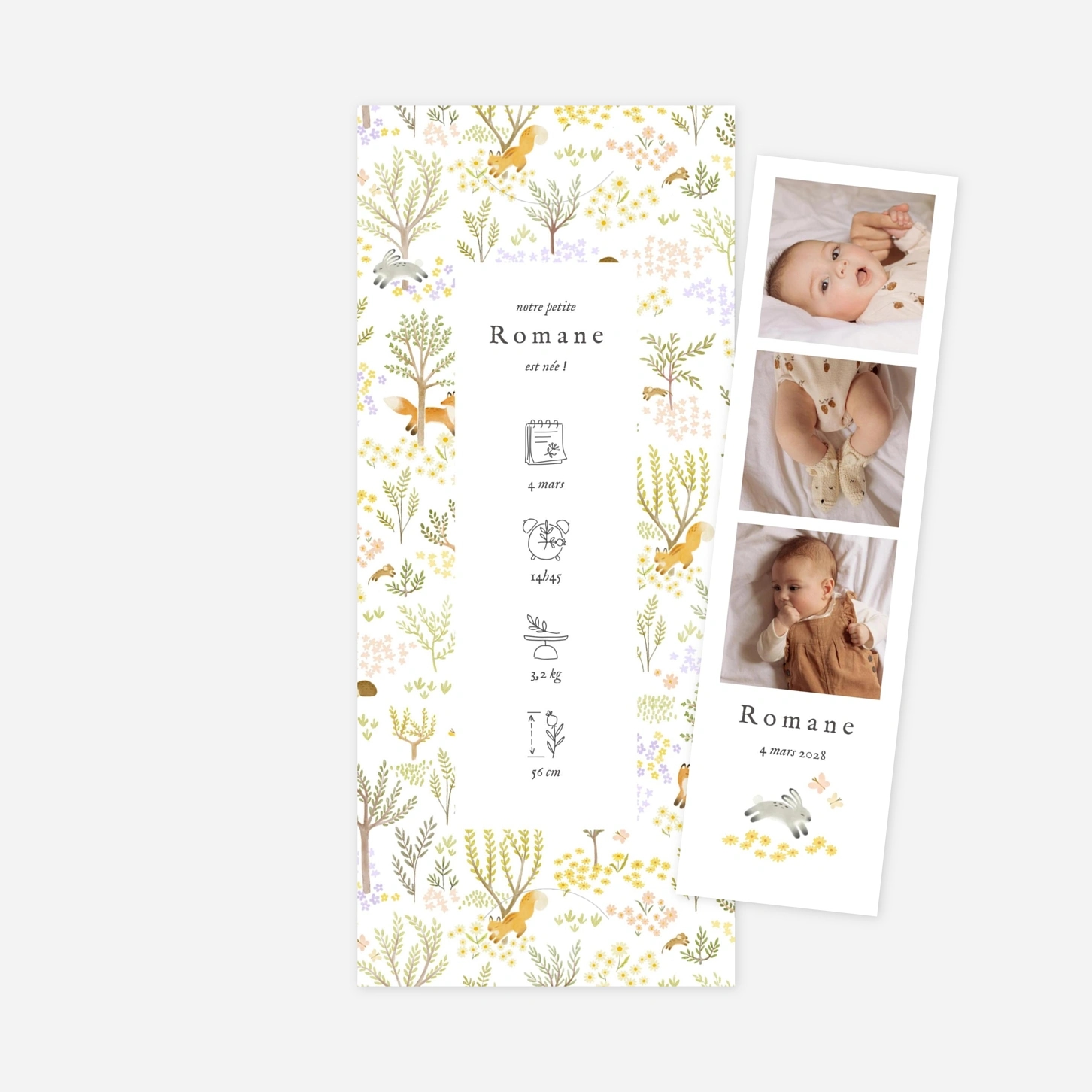 Faire-part naissance Comptine des animaux