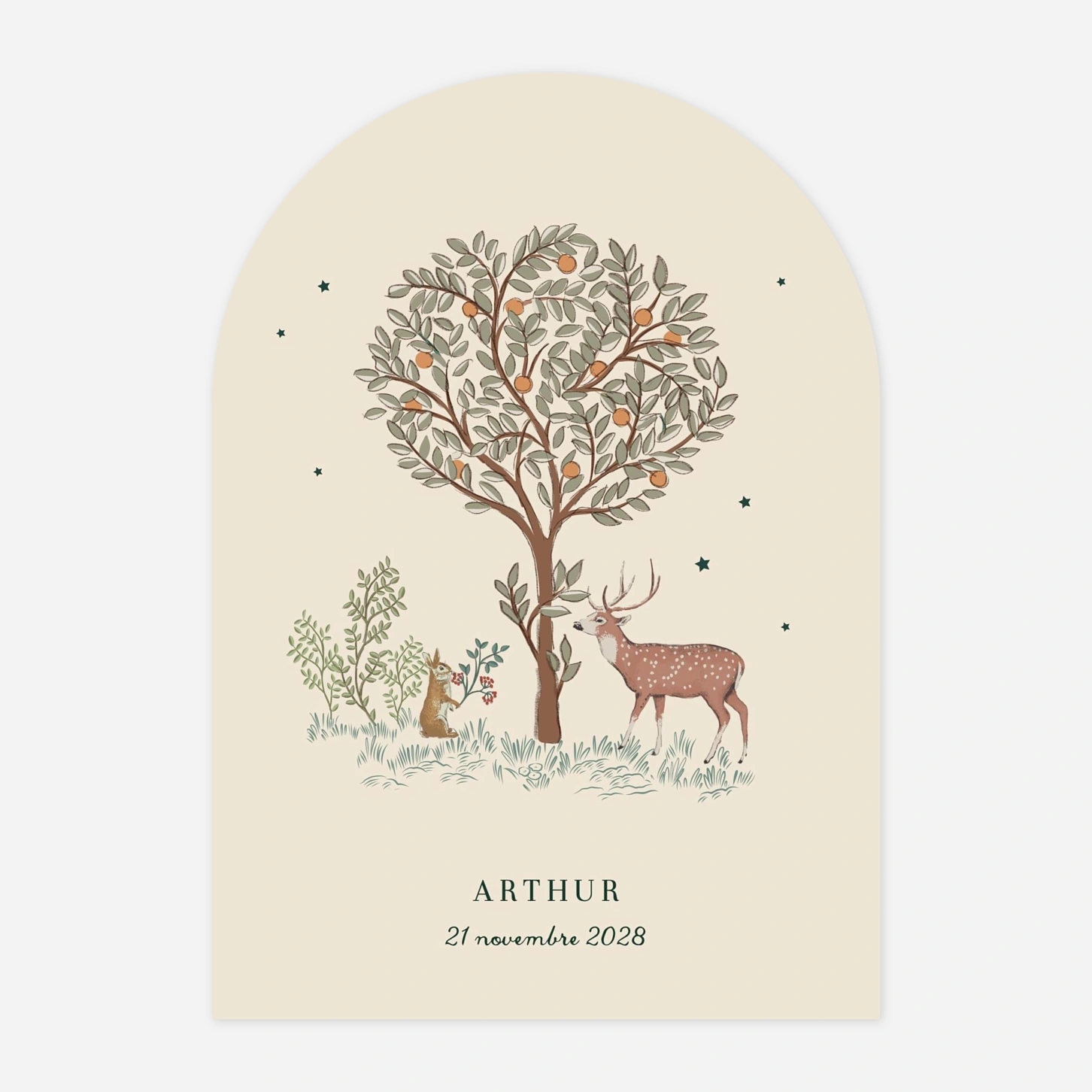 Faire-part naissance Conte de Noël