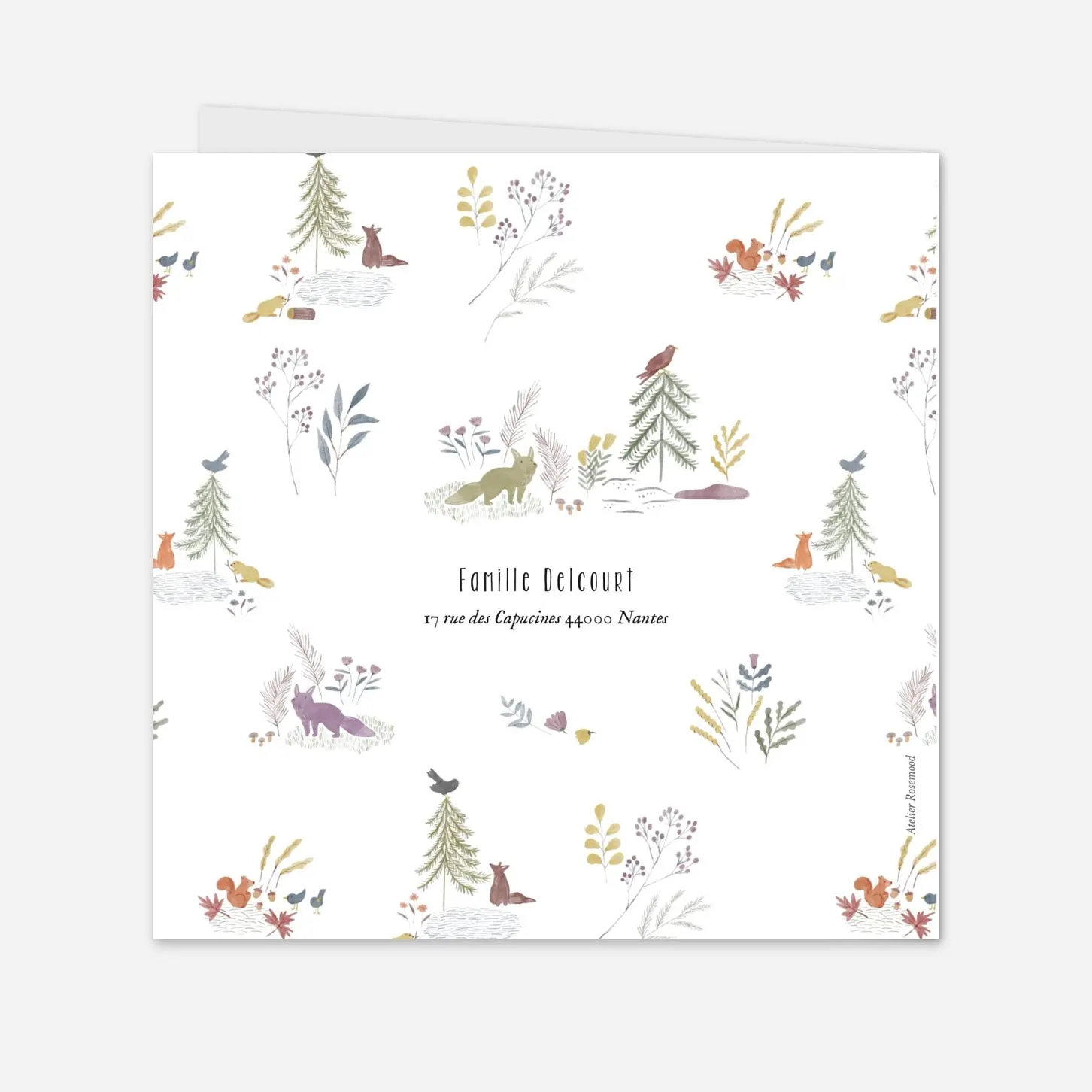 Faire-part naissance Conte aquarelle