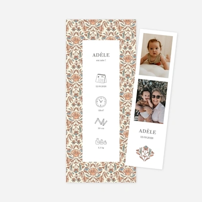 Élégant coquillage