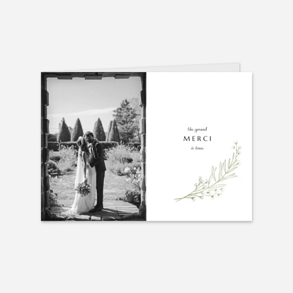 Délicats feuillages