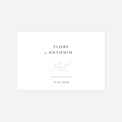 Délicats feuillages