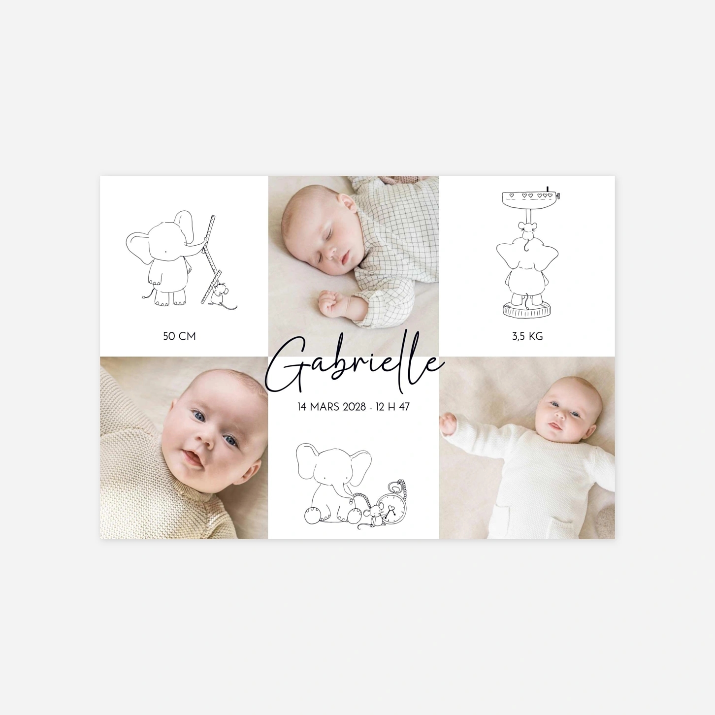 Faire-part naissance Doux compagnons