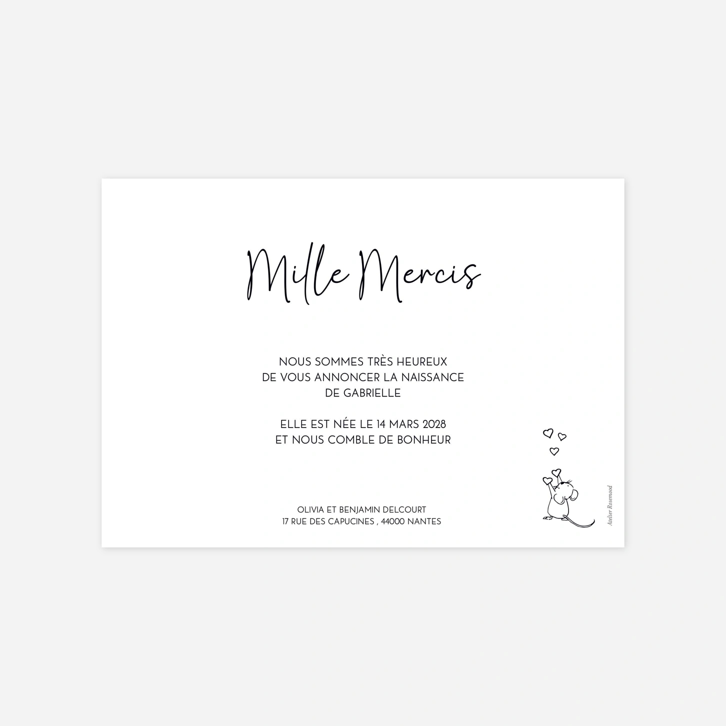 Faire-part naissance Doux compagnons