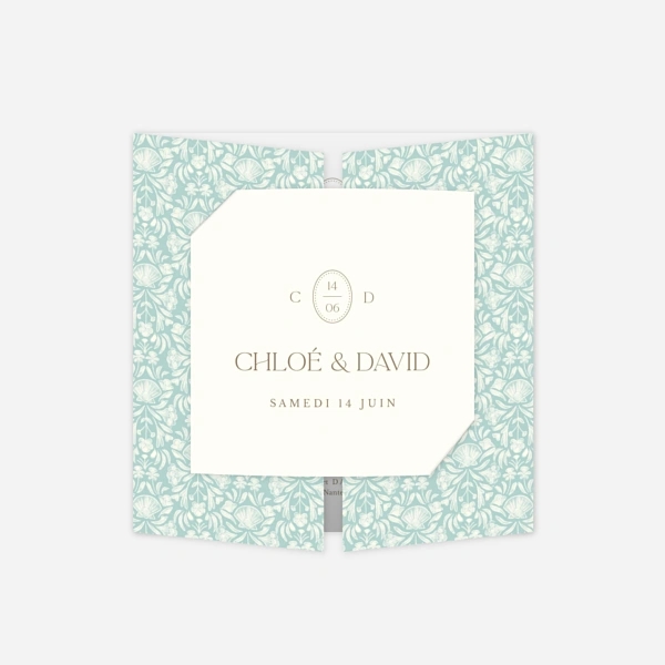 Élégant coquillage