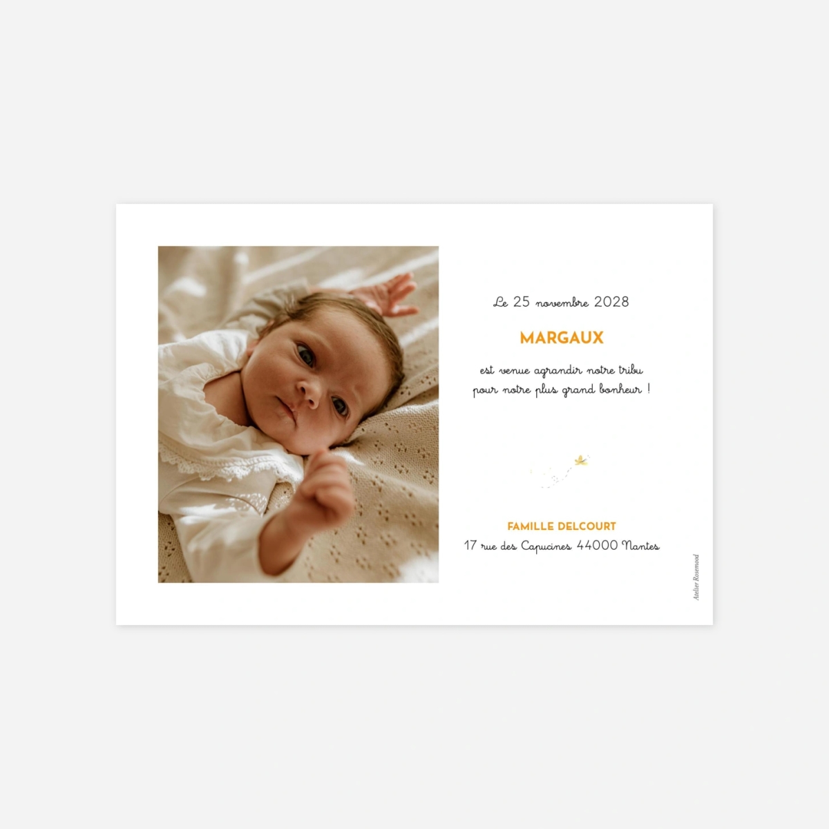 Faire-part naissance Éléphants en famille