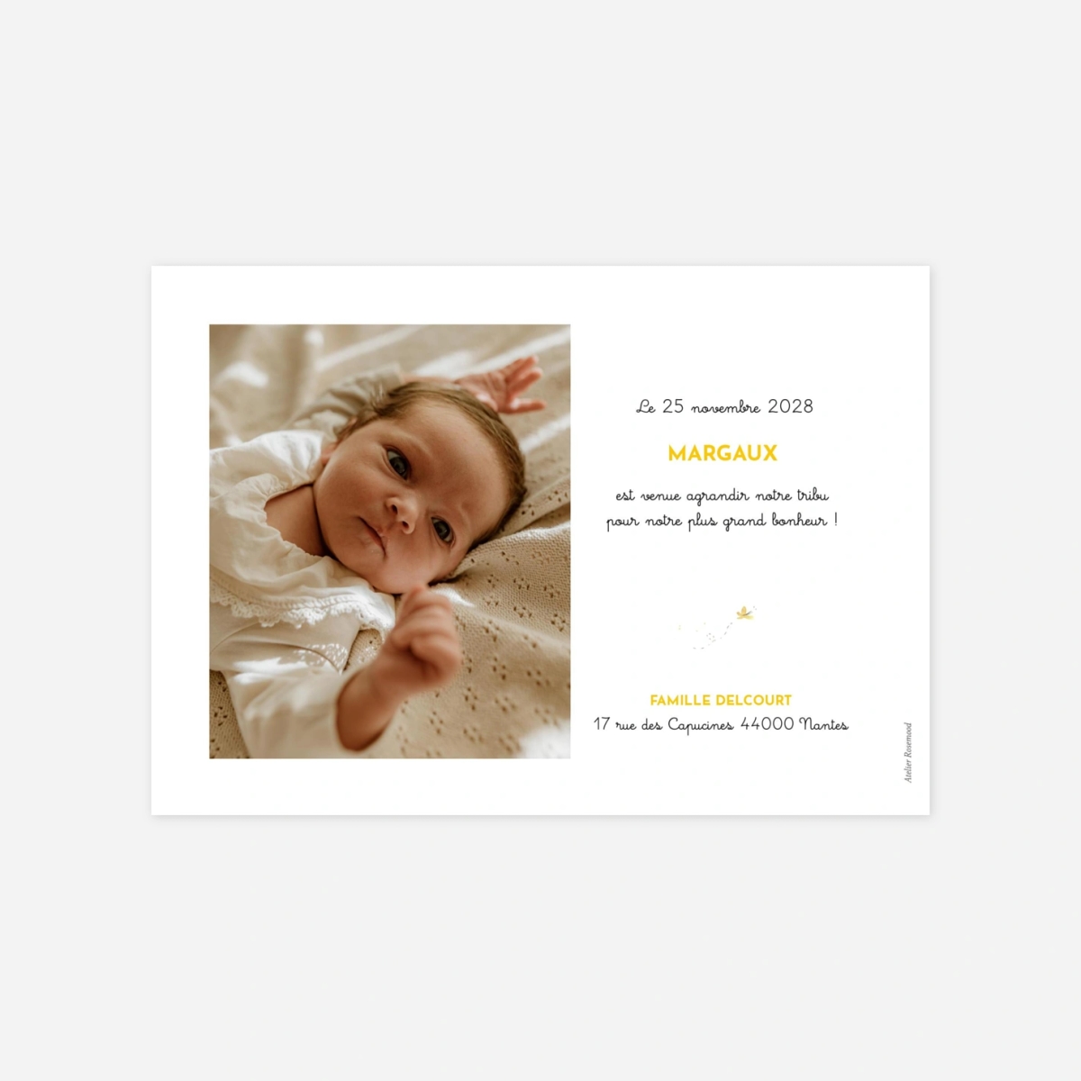 Faire-part naissance 5 éléphants en famille