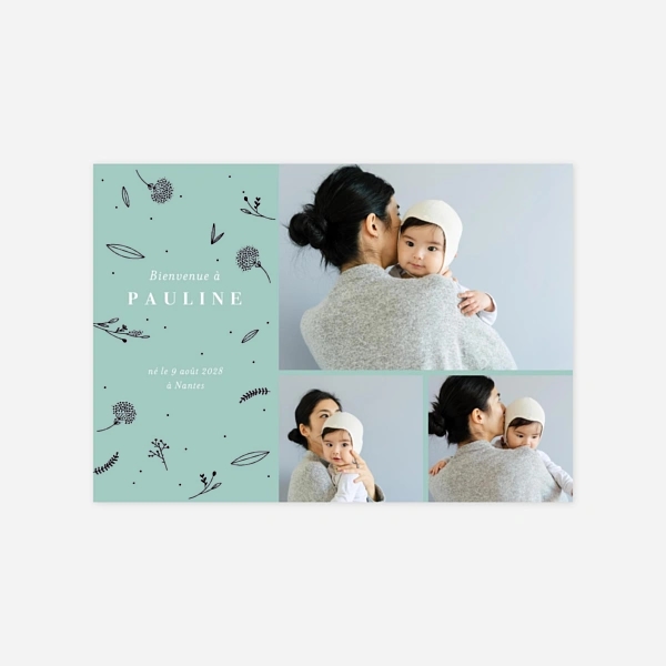 Élégant feuillage 3 photos