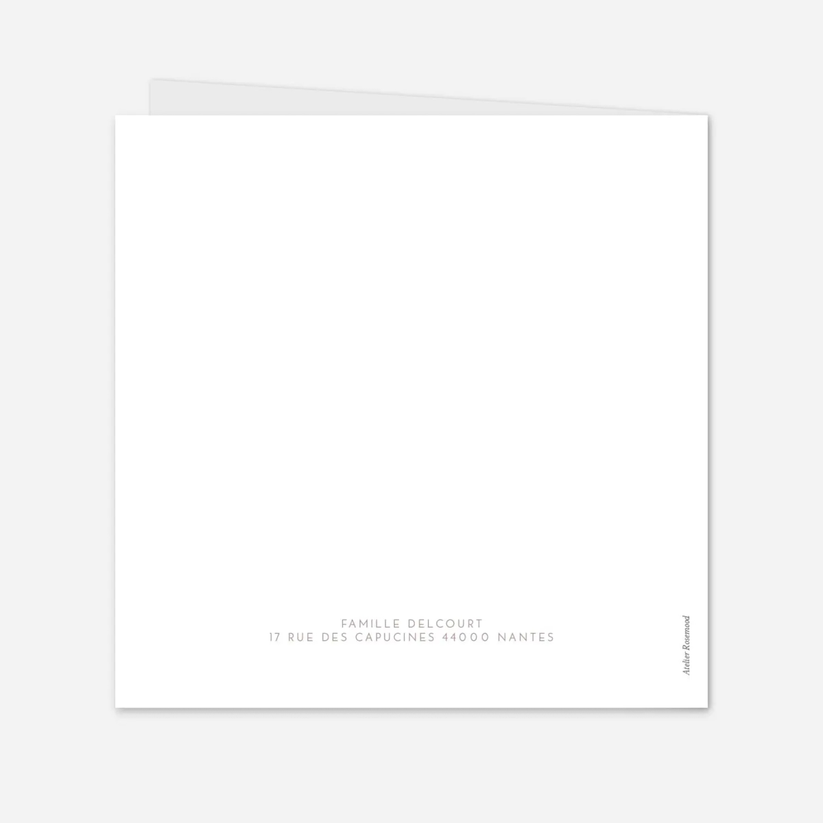 Faire-part naissance Élégant jumeaux 4 photos