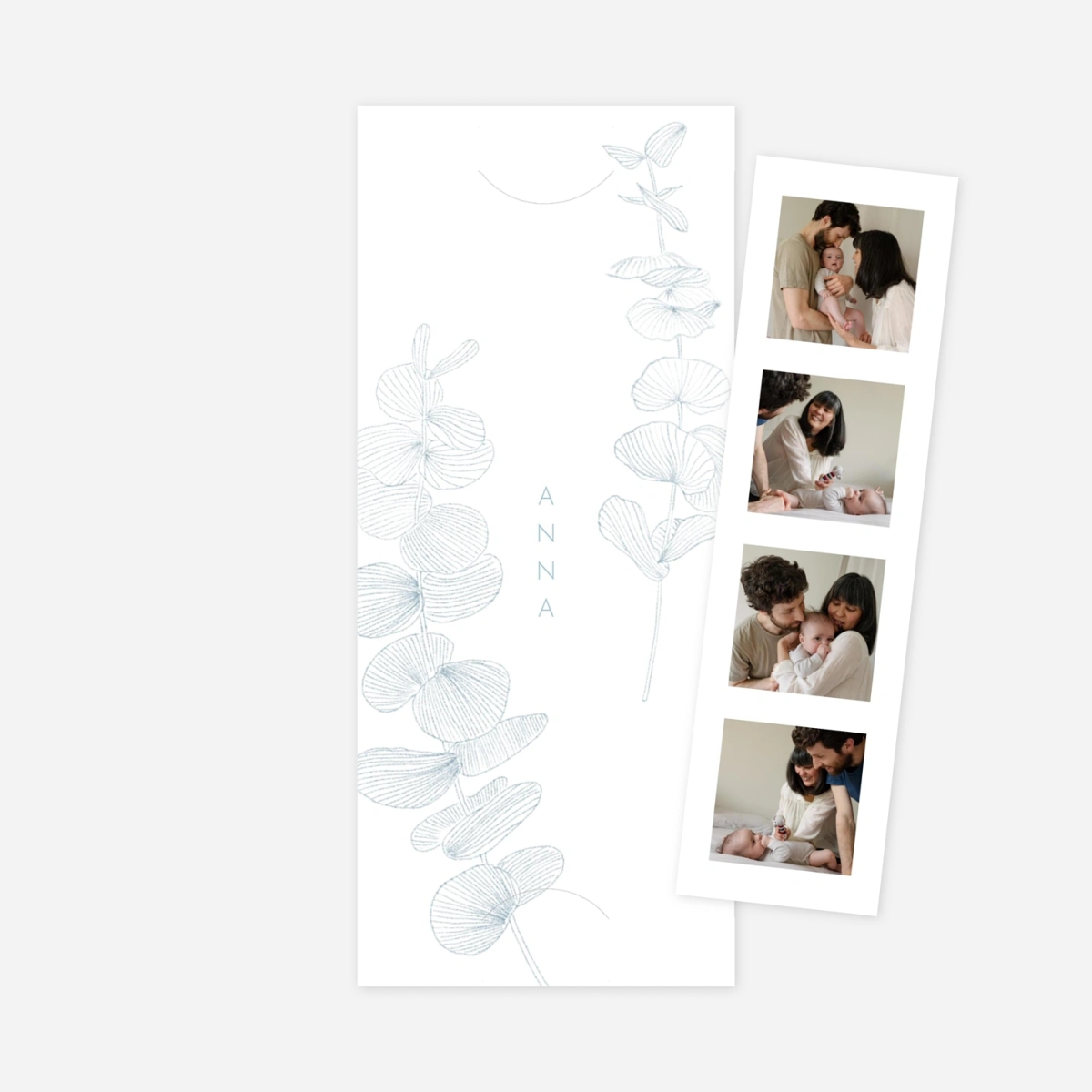 Faire-part naissance Envolée d'eucalyptus