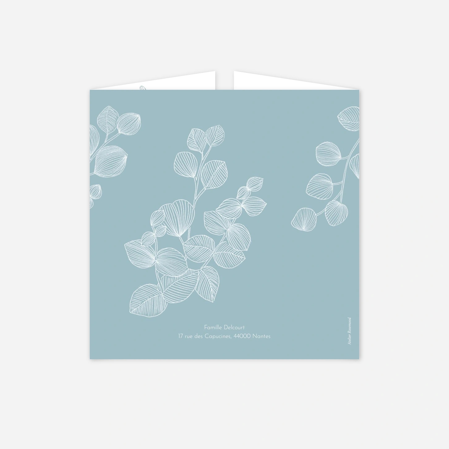 Faire-part naissance Envolée d'eucalyptus