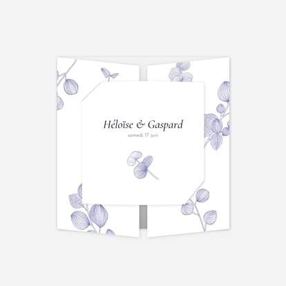 Envolée d'eucalyptus