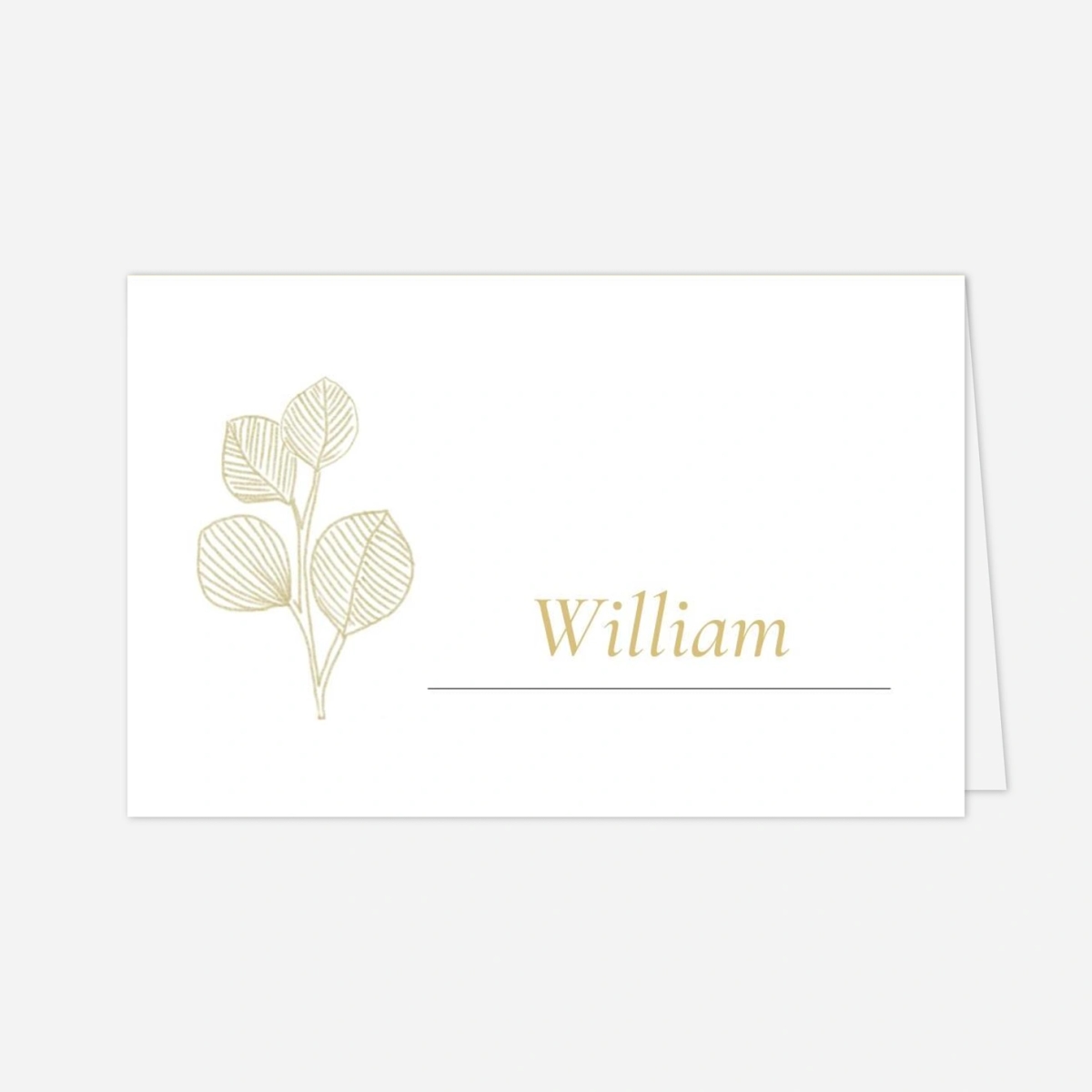 Marque-place mariage Envolée d'eucalyptus