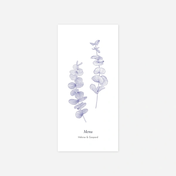 Envolée d'eucalyptus