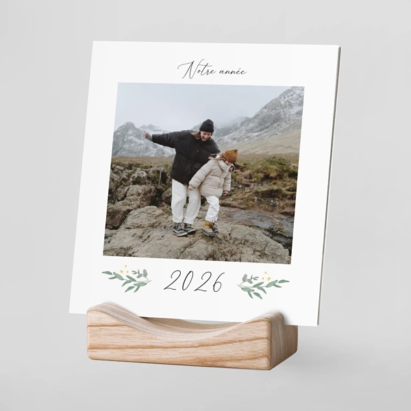 Eucalyptus élégant