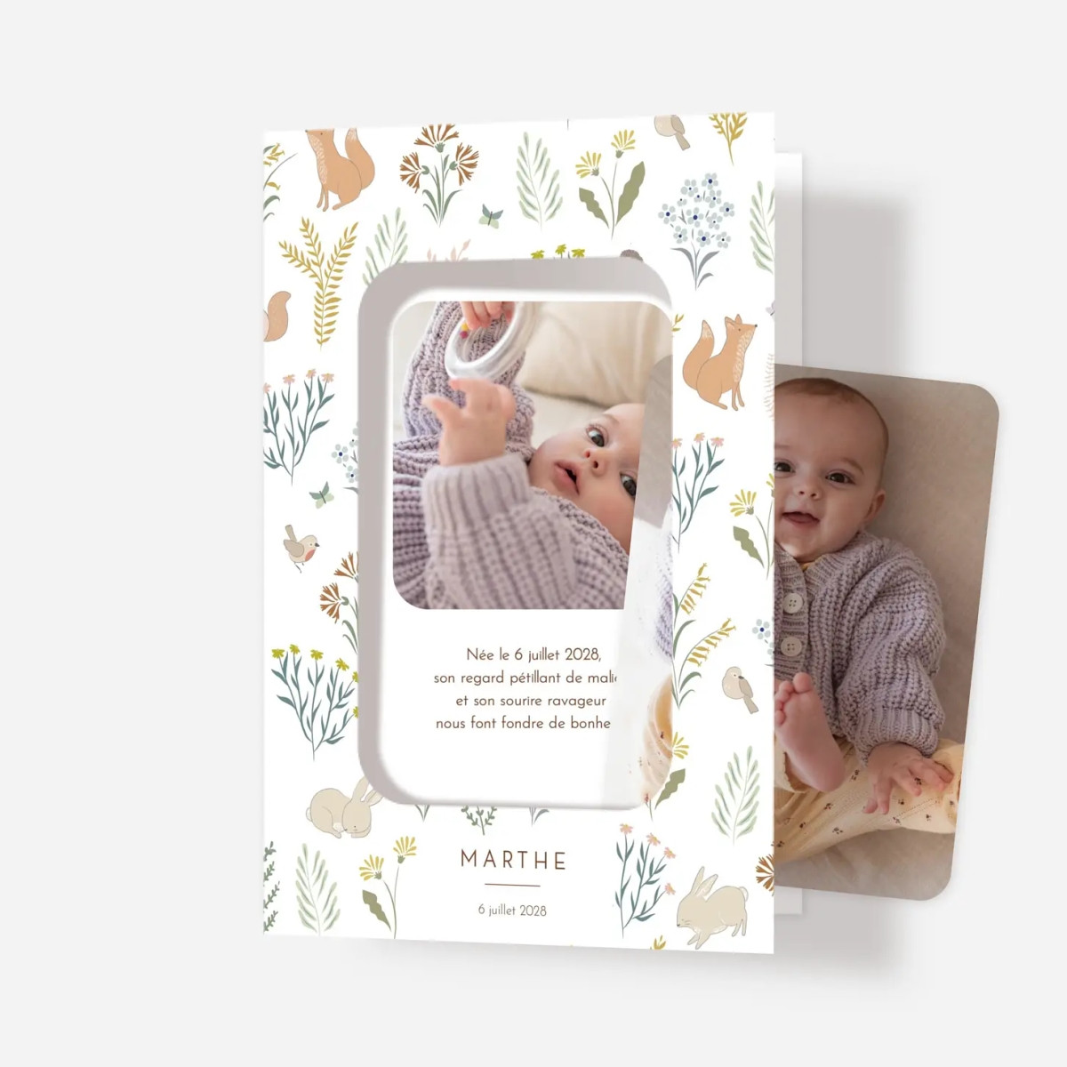 Faire-part naissance Galipette