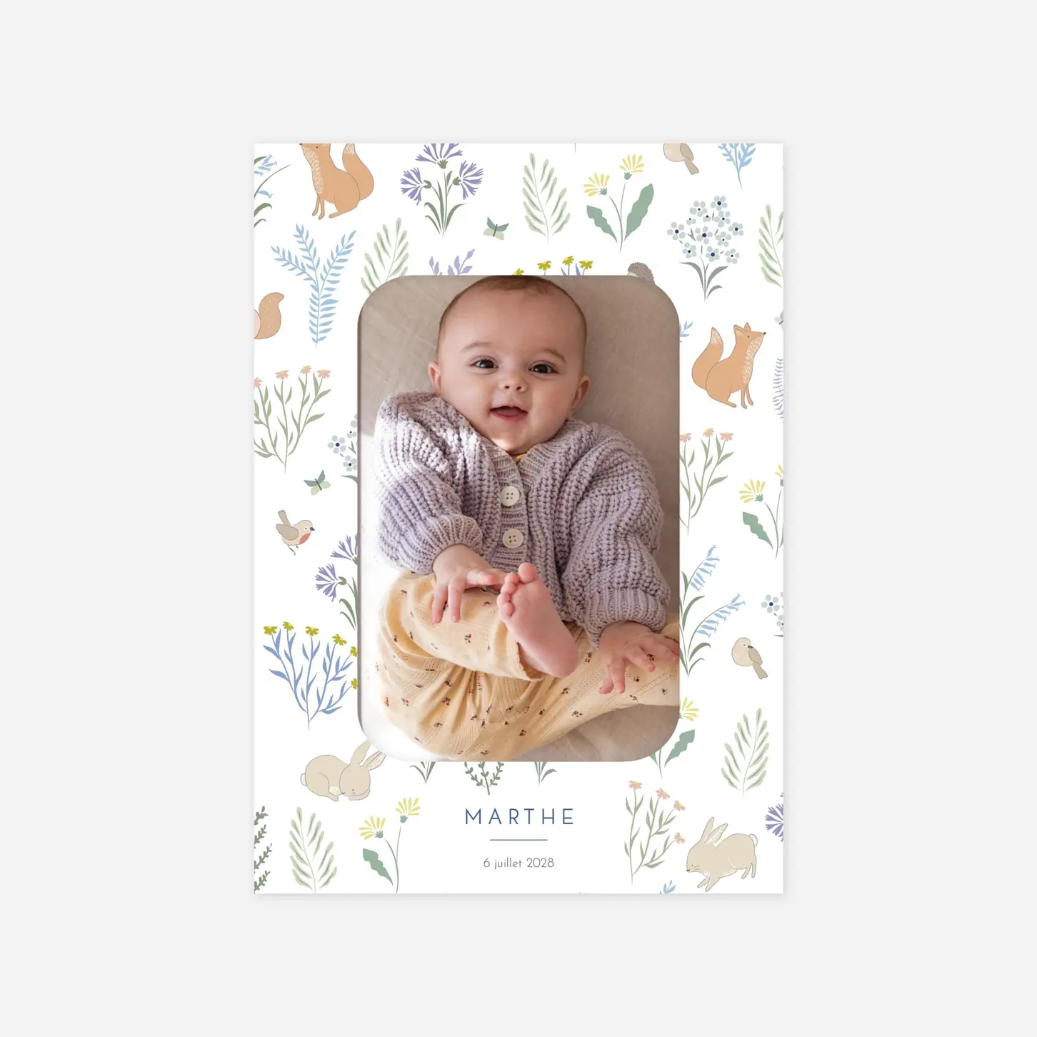 Faire-part naissance Galipette