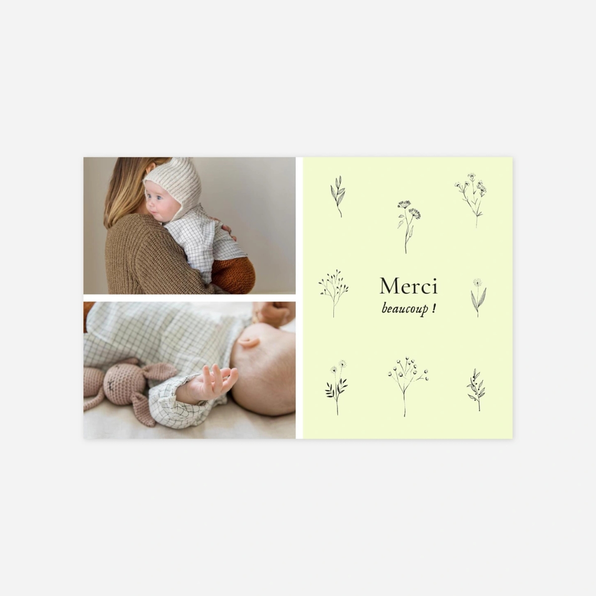 Carte remerciement naissance Herbier