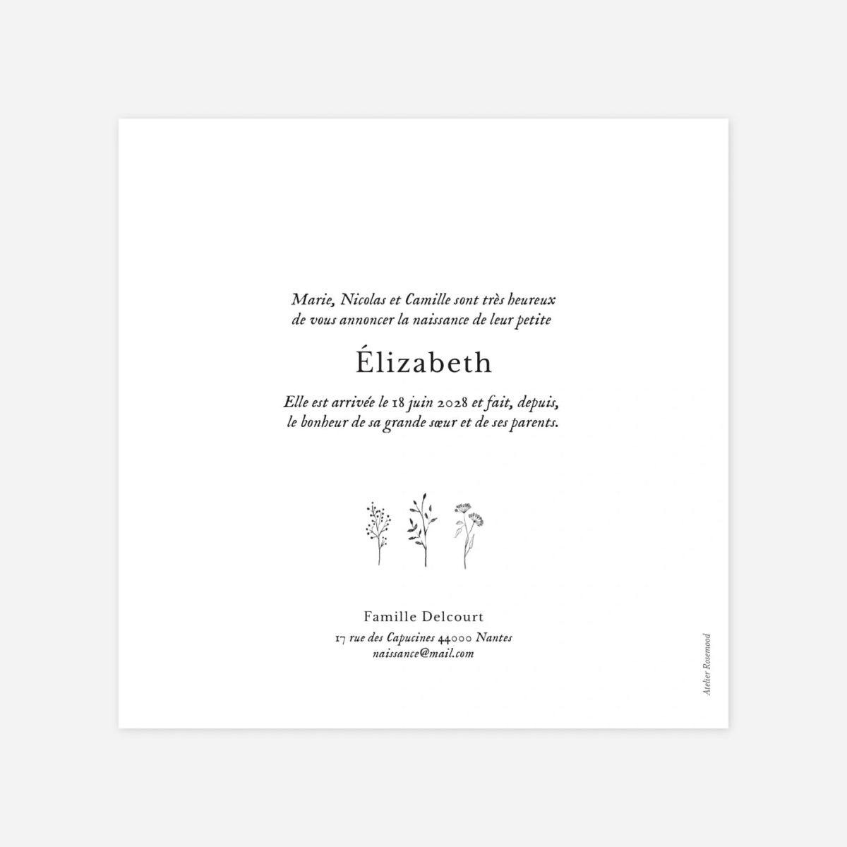 Faire-part naissance Herbier