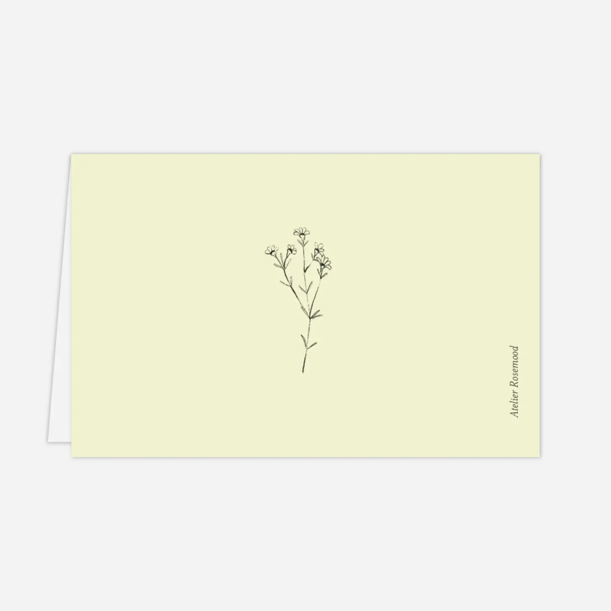 Marque-place Baptême Herbier