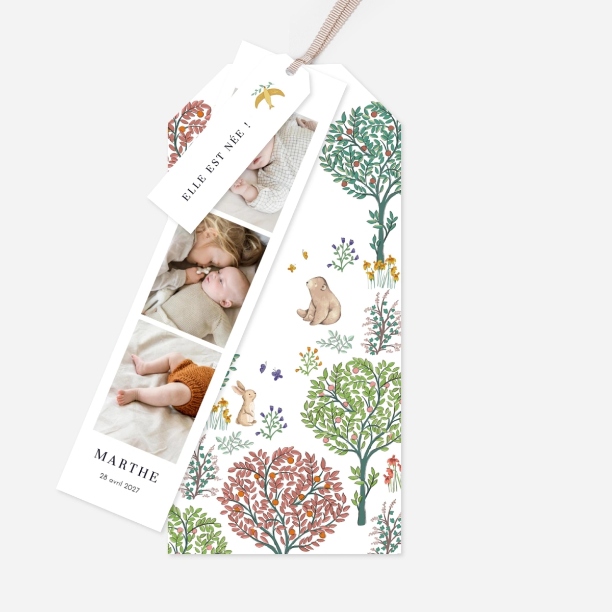 Faire-part naissance Histoire du jardin