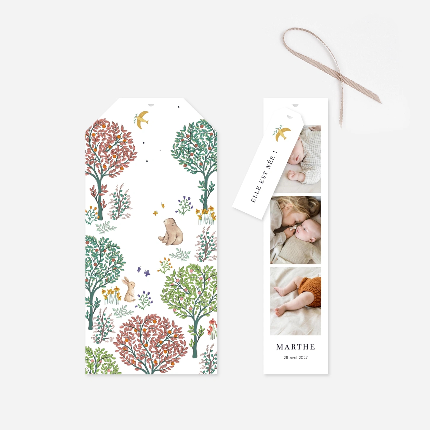 Faire-part naissance Histoire du jardin