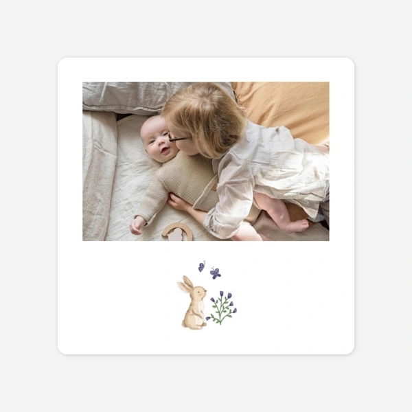 Histoire du jardin II