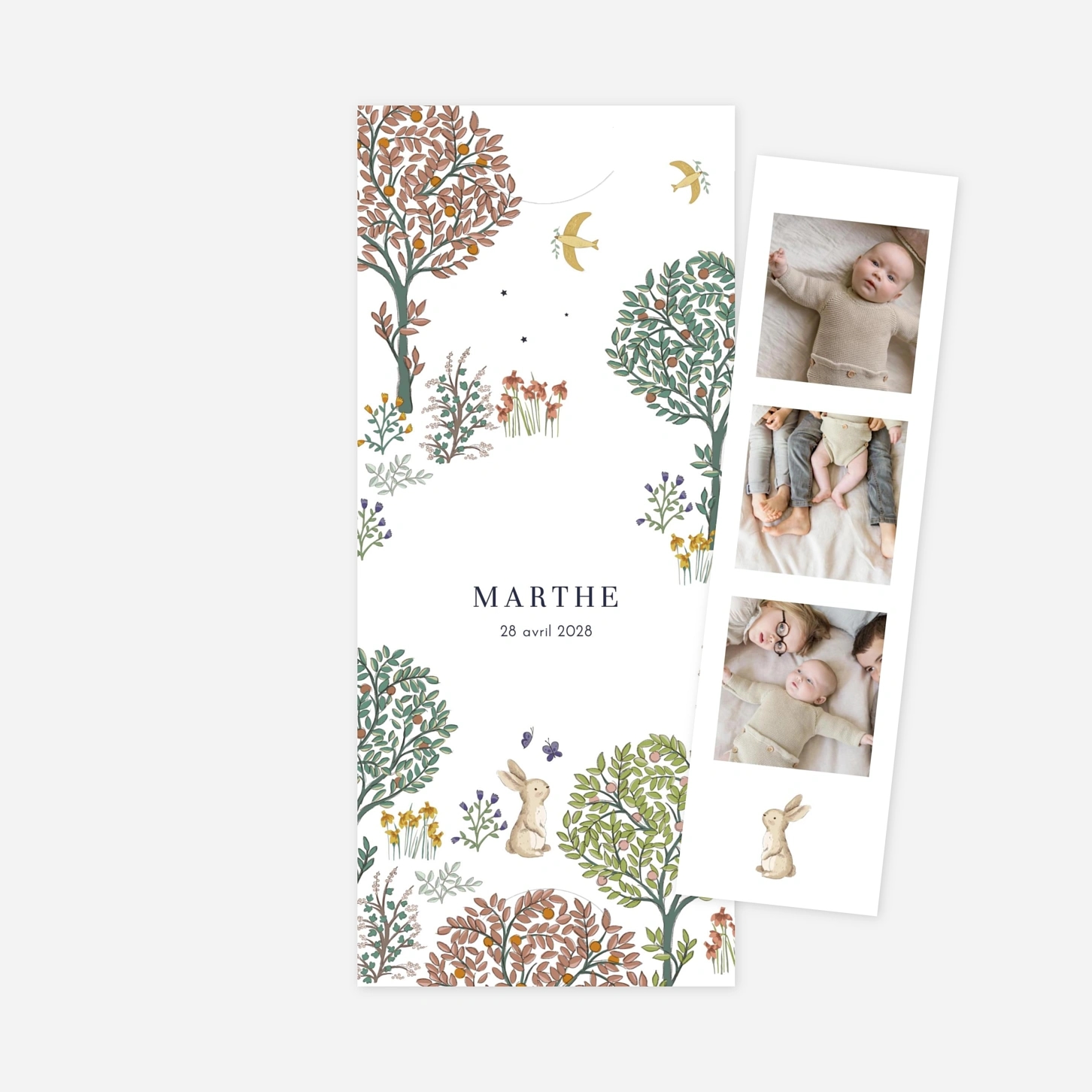 Faire-part naissance Histoire du jardin II