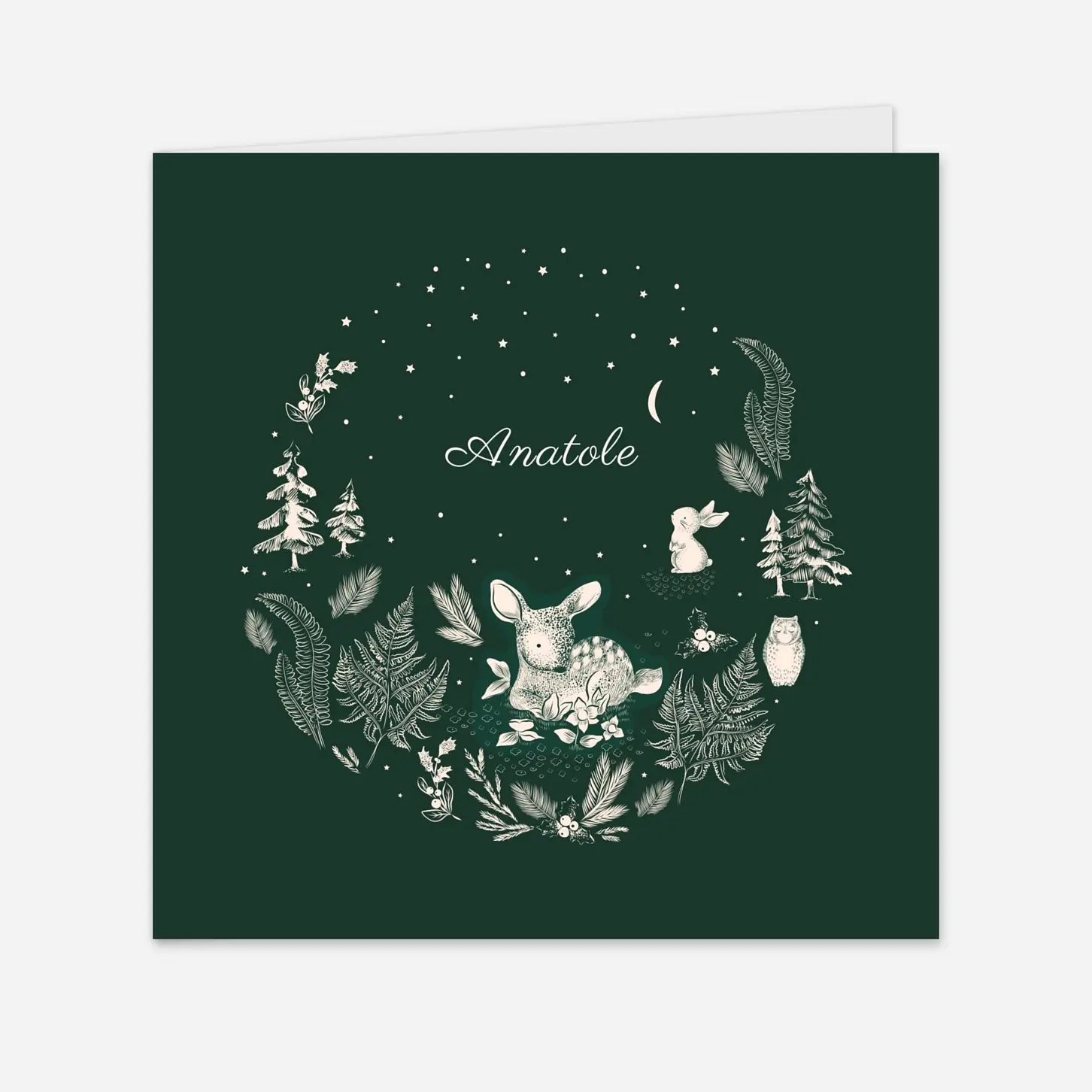 Faire-part naissance Histoire de Noël