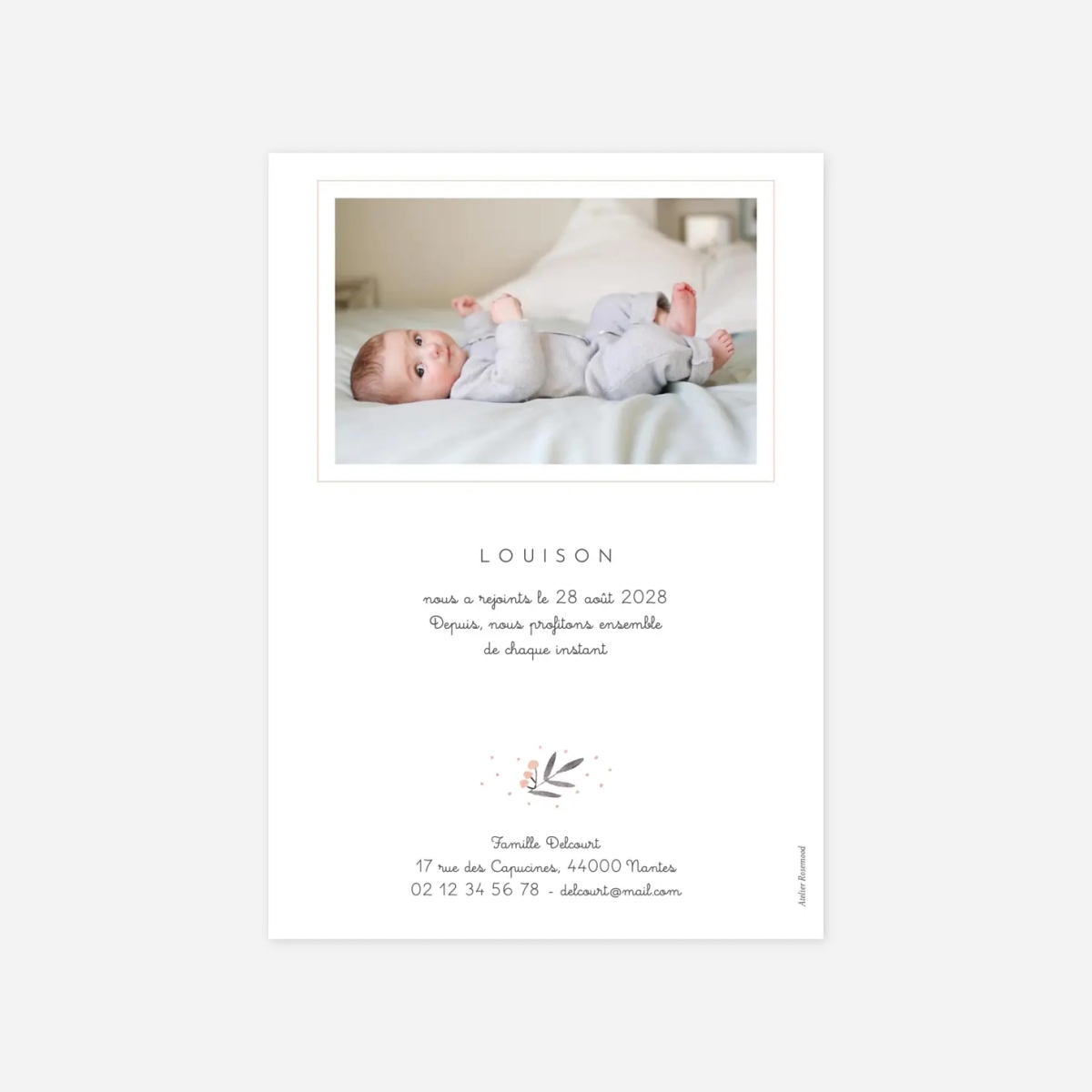 Faire-part naissance Jolies brindilles