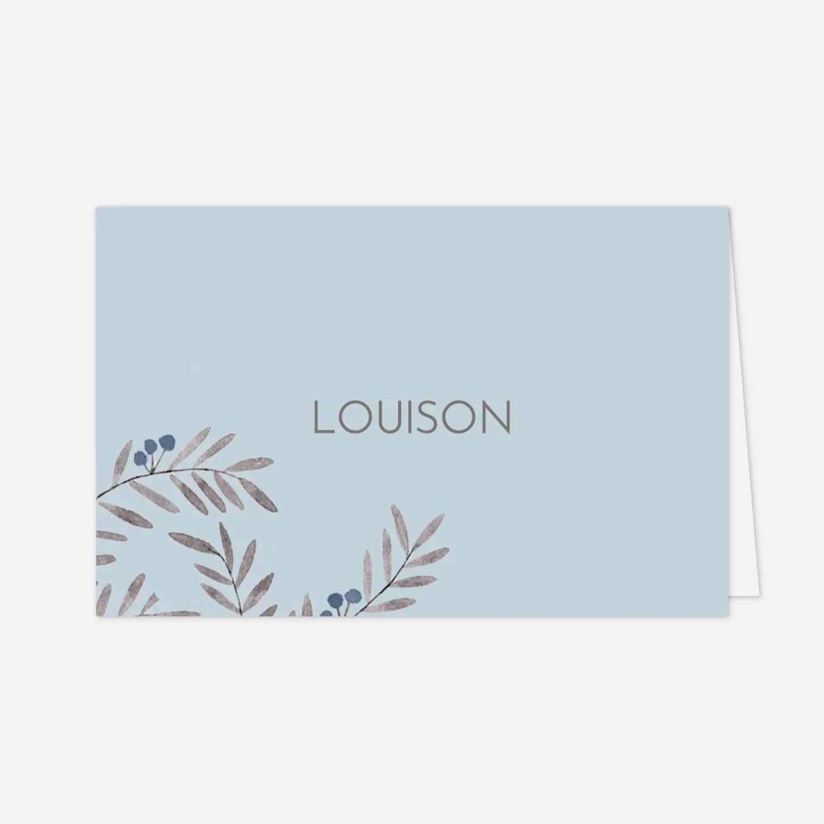 Marque-place baptême Jolies brindilles