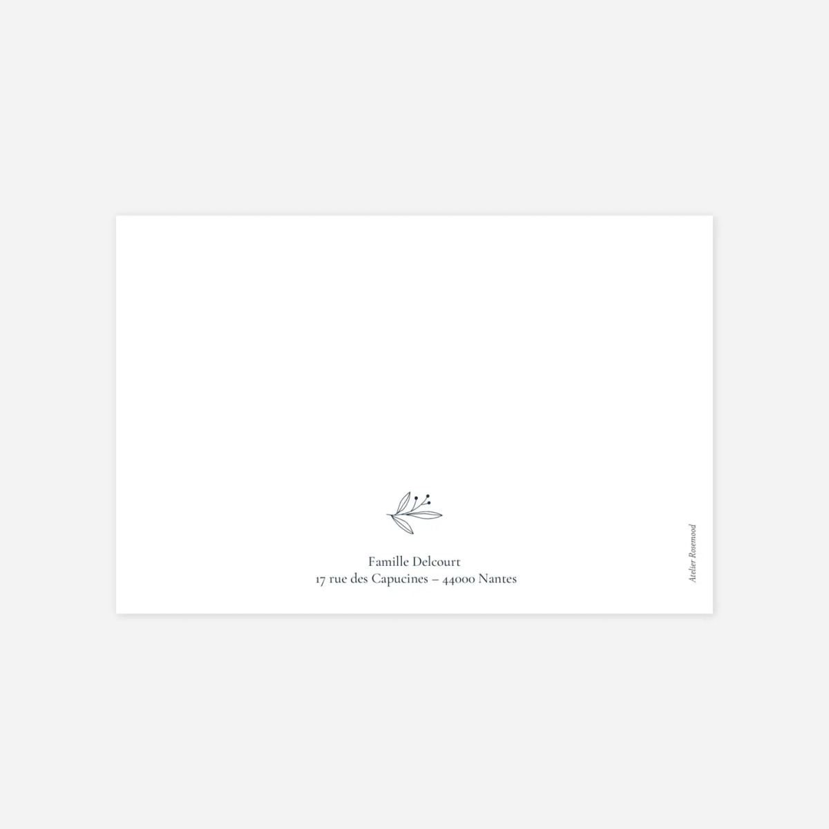 Carte de correspondance Jeune pousse