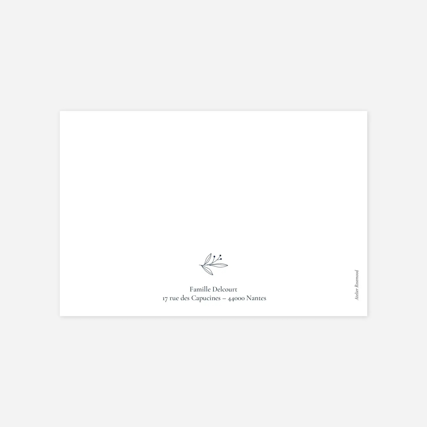 Carte de correspondance Jeune pousse